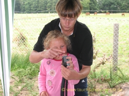 Schnuppertauchen Stadensen 2007