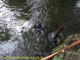 Wartungsarbeiten am Bootssteg 